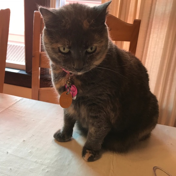 ๐๐๐LULUโS BIRTHDAY BUNDLE!!!๐๐๐ - Picture 2 of 8